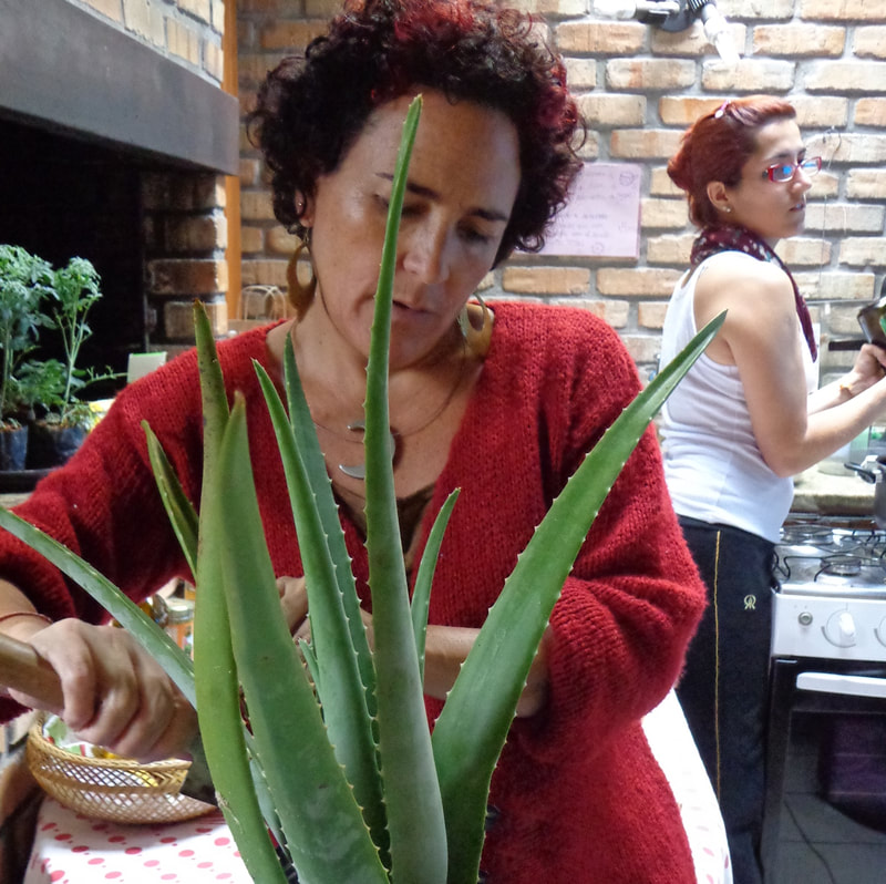 Mexican postpartum workshop by Naoli Vinaver. Naoli Vinaver preparing herbs for the postpartum. 