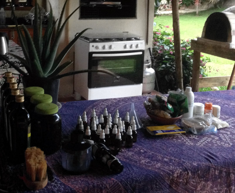 Mexican postpartum workshop by Naoli Vinaver, showing herb remedy preparation for the postpartum. 