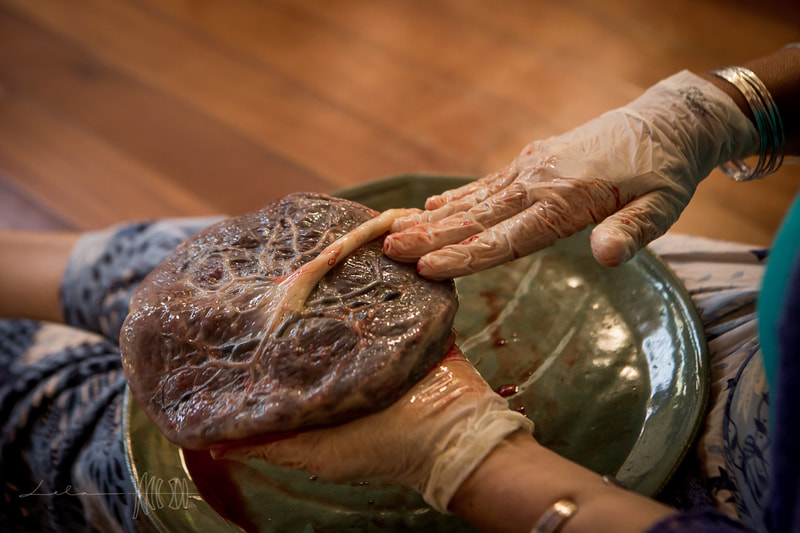 Placenta explained and demonstrated by Naoli at Art of Birth workshop taught by Naoli Vinaver. Photo by Lela Beltrão.